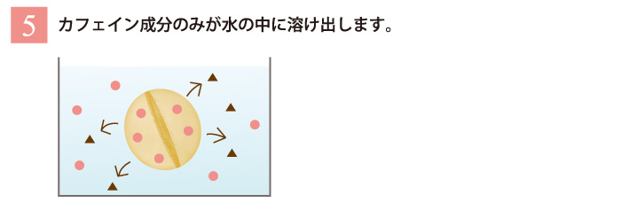 カフェインレスコーヒーの作り方　その５