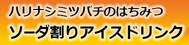 レシピ：ハリナシミツバチのはちみつの炭酸割り