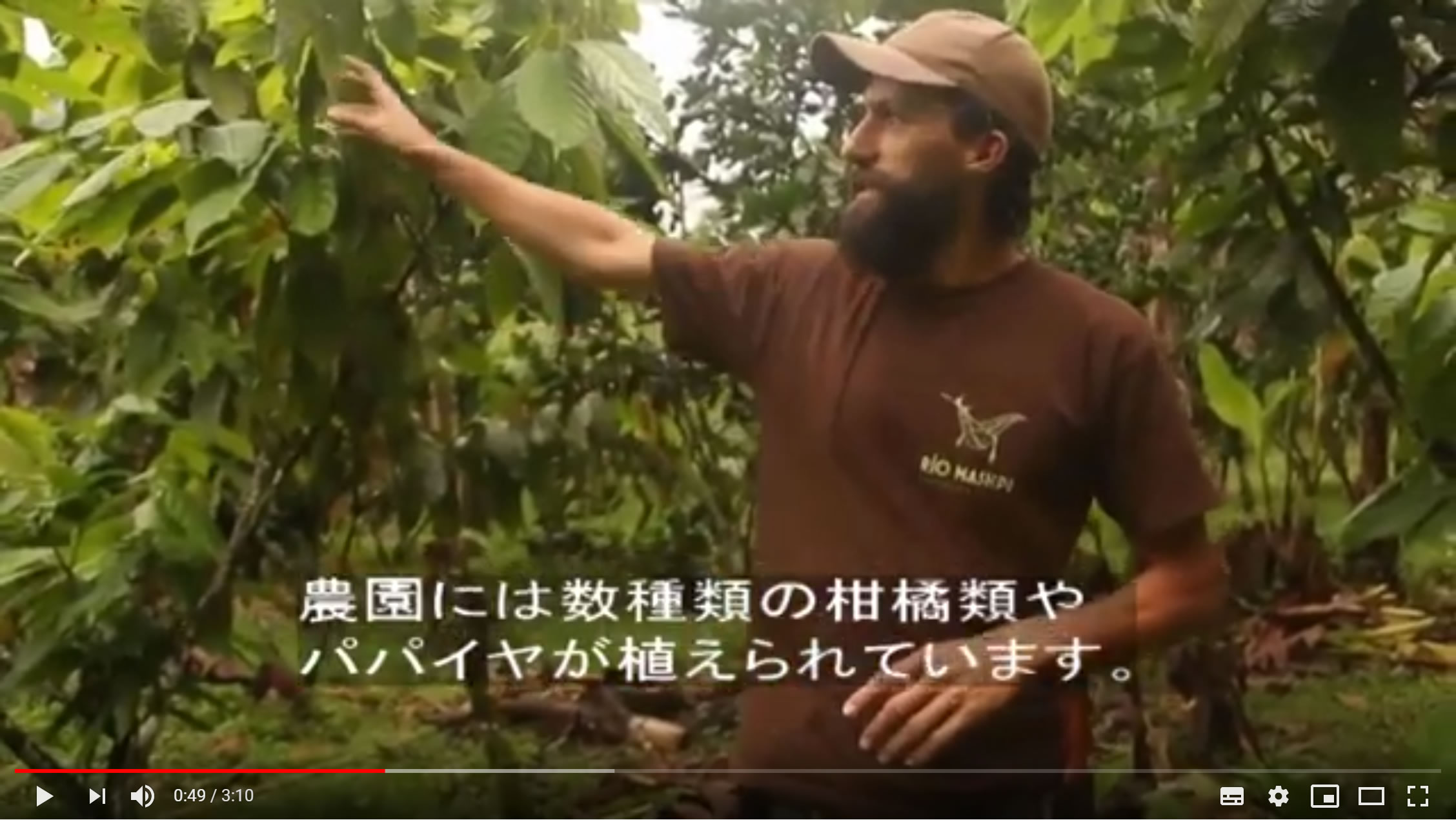 フェアトレード・オーガニック・森林農法のチョコレート生産者「マシュピ農園」の紹介映像