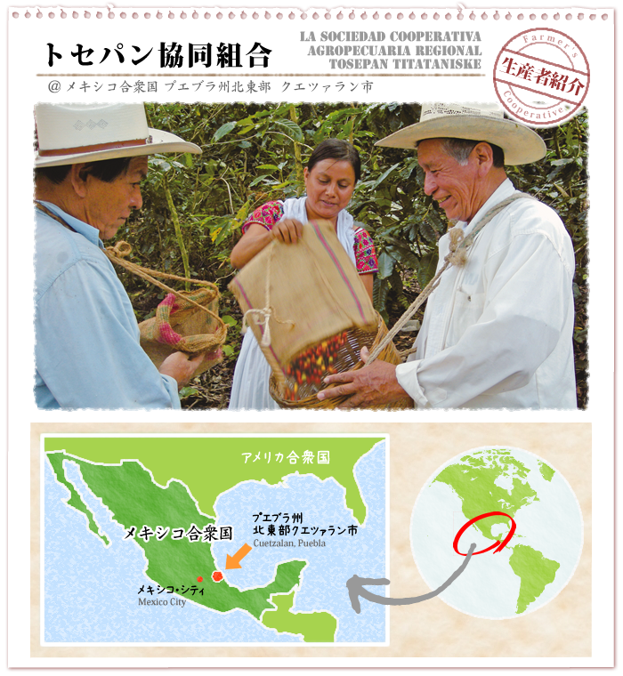 フェアトレード・オーガニック・コーヒーの産地紹介：メキシコ・トセパン