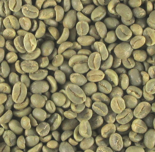 有機栽培コーヒー生豆 コロンビア産【トリマ プラナダス アグプロセム農協】