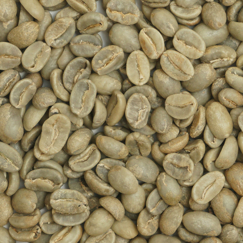 有機栽培コーヒー生豆 コロンビア サンタマルタ産