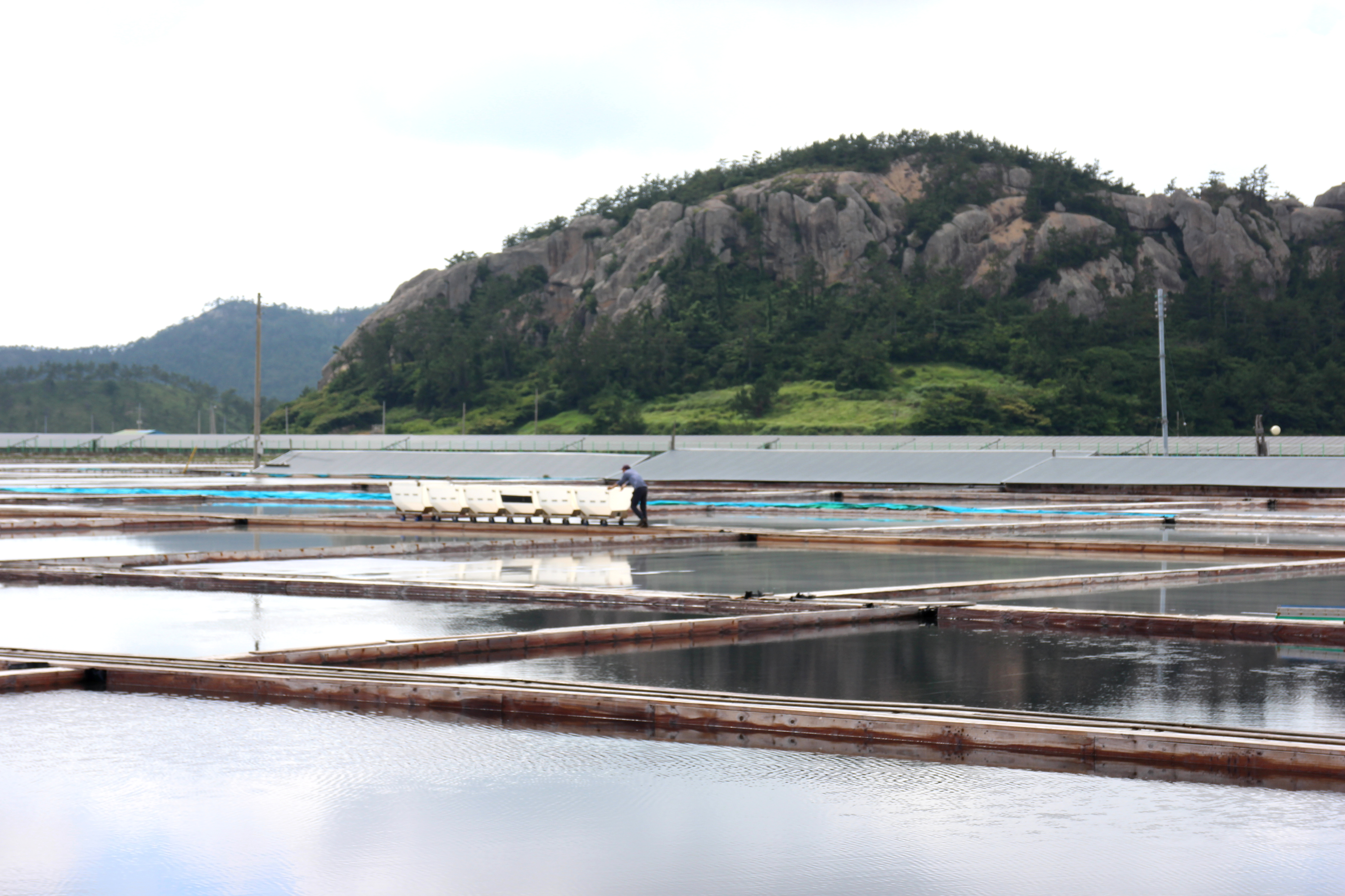 塩田風景