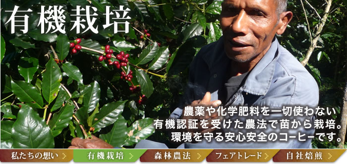 有機栽培コーヒー