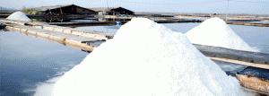 salt_image_2