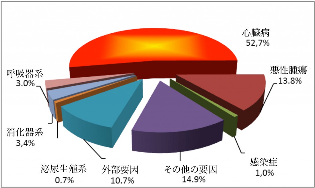 2008年のベラルーシの死因　52.7％心臓病