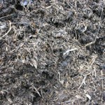 compost2