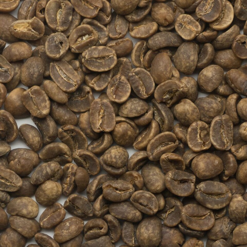 有機栽培コーヒー生豆　メキシコ産 カフェインレス 【トセパン協同組合】