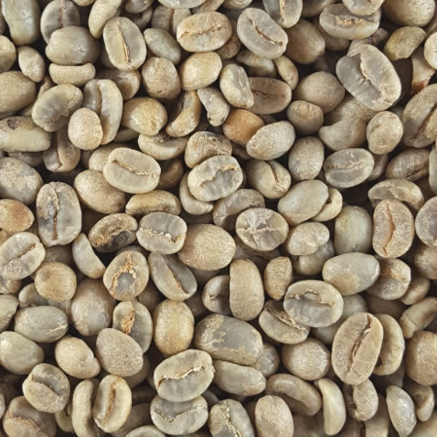 有機栽培コーヒー生豆　グアテマラ産